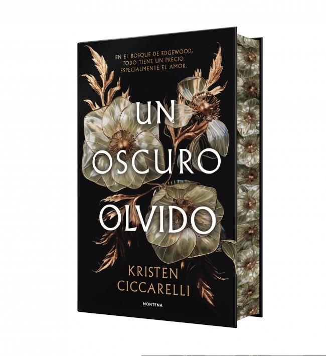 UN OSCURO OLVIDO (EDICION CANTOS PINTADOS) [CARTONE] | CICCARELLI, KRISTEN | Akira Comics  - libreria donde comprar comics, juegos y libros online
