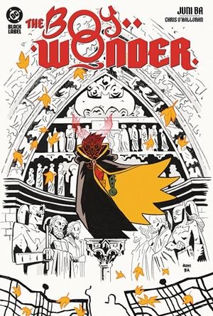 THE BOY WONDER [CARTONE] | BA, JUNI | Akira Comics  - libreria donde comprar comics, juegos y libros online