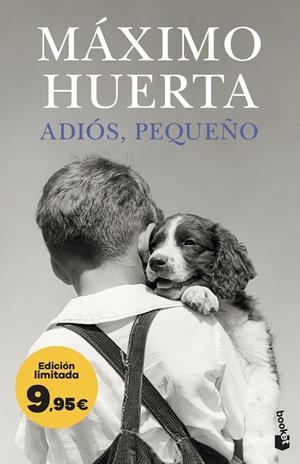 ADIOS, PEQUEÑO [BOLSILLO] | HUERTA, MAXIMO | Akira Comics  - libreria donde comprar comics, juegos y libros online