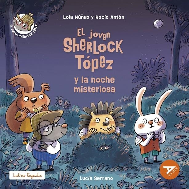 JOVEN SHERLOCK TOPEZ Y LA NOCHE MISTERIOSA, EL [RUSTICA] | NUÑEZ, LOLA / ANTON, ROCIO | Akira Comics  - libreria donde comprar comics, juegos y libros online