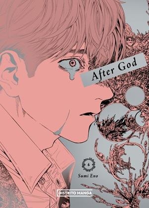 AFTER GOD Nº06 [RUSTICA] | ENO, SUMI | Akira Comics  - libreria donde comprar comics, juegos y libros online