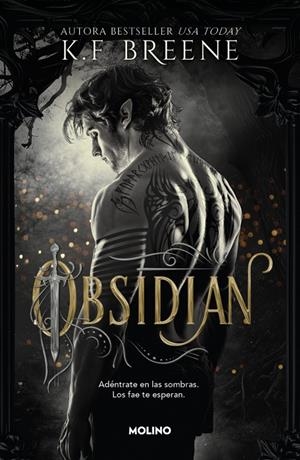 OBSIDIAN (LOS FAE DE LAS SOMBRAS 1) [RUSTICA] | BREENE, K.F. | Akira Comics  - libreria donde comprar comics, juegos y libros online