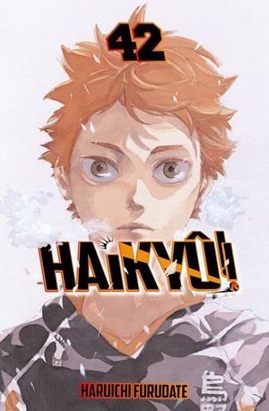 HAIKYÛ!! Nº42 [RUSTICA] | FURUDATE, HARUICHI | Akira Comics  - libreria donde comprar comics, juegos y libros online