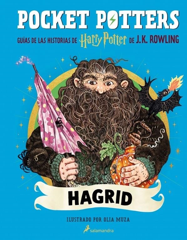 POCKET POTTERS: HAGRID [CARTONE] | ROWLING, J. K. | Akira Comics  - libreria donde comprar comics, juegos y libros online