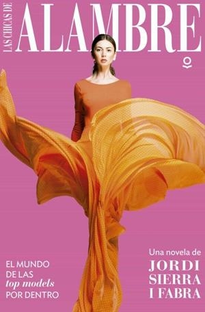 CHICAS DE ALAMBRE, LAS [RUSTICA] | SIERRA I FABRA, JORDI | Akira Comics  - libreria donde comprar comics, juegos y libros online
