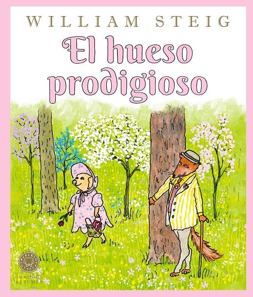 HUESO PRODIGIOSO, EL [CARTONE] | STEIG, WILLIAM | Akira Comics  - libreria donde comprar comics, juegos y libros online