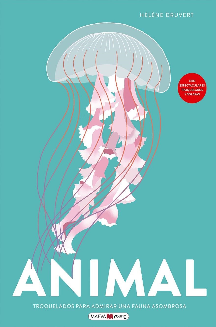ANIMAL [CARTONE] | DRUVERT, HELENE | Akira Comics  - libreria donde comprar comics, juegos y libros online