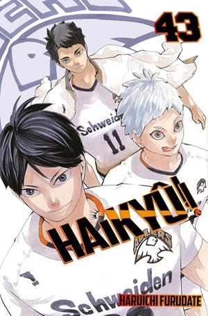 HAIKYÛ!! Nº43 [RUSTICA] | FURUDATE, HARUICHI | Akira Comics  - libreria donde comprar comics, juegos y libros online