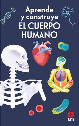APRENDE Y CONSTRUYE EL CUERPO HUMANO [CARTONE] | MAYES, SUSAN | Akira Comics  - libreria donde comprar comics, juegos y libros online