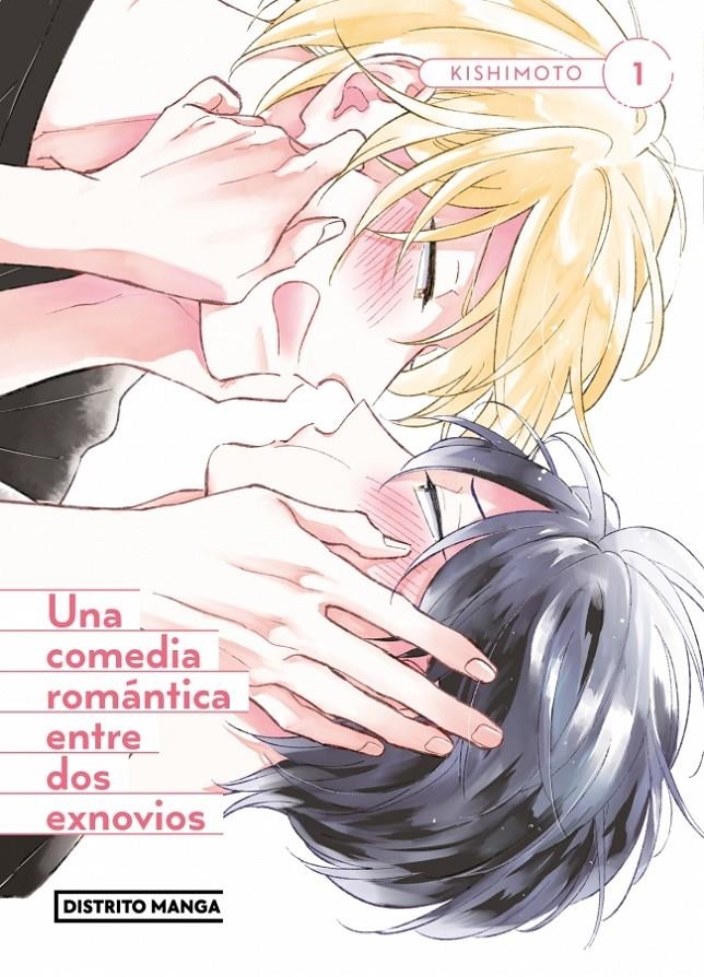 UNA COMEDIA ROMANTICA ENTRE DOS EXNOVIOS [RUSTICA] | KISHIMOTO | Akira Comics  - libreria donde comprar comics, juegos y libros online