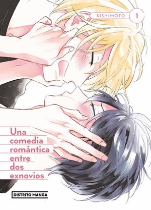 UNA COMEDIA ROMANTICA ENTRE DOS EXNOVIOS [RUSTICA] | KISHIMOTO | Akira Comics  - libreria donde comprar comics, juegos y libros online