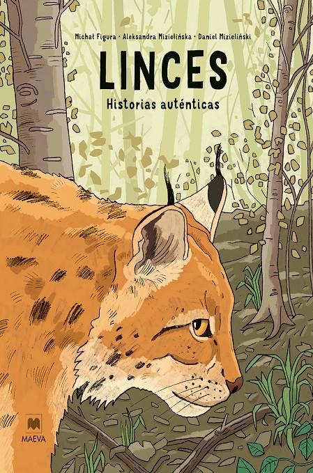 LINCES: HISTORIAS AUTENTICAS [CARTONE] | MIZIELINSKA, ALEKSANDRA / MIZIELINSKI, DANIEL | Akira Comics  - libreria donde comprar comics, juegos y libros online