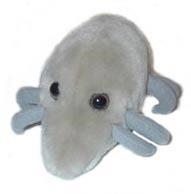 ACARO DEL POLVO (DERMATOPHAGOIDES PTERONYSSINUS) GIANTMICROBES ORIGINAL (PELUCHE 12-18 CMS) | Akira Comics  - libreria donde comprar comics, juegos y libros online