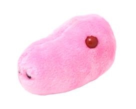 GRIPE PORCINA (INFLUENZA A VIRUS H1N1) GIANTMICROBES ORIGINAL (PELUCHE 12-18 CMS) | Akira Comics  - libreria donde comprar comics, juegos y libros online