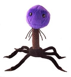 T4 (T4 BACTERIOFAGO) GIANTMICROBES ORIGINAL (PELUCHE 12-18 CMS) | Akira Comics  - libreria donde comprar comics, juegos y libros online
