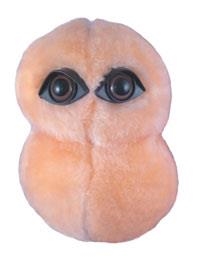 NEUMONIA (PNEUMONIA) GIANTMICROBES ORIGINAL (PELUCHE 12-18 CMS) | Akira Comics  - libreria donde comprar comics, juegos y libros online