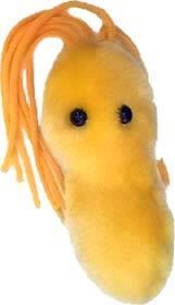 ULCERA (HELICOBACTER PYLORI) GIANTMICROBES ORIGINAL (PELUCHE 12-18 CMS) | Akira Comics  - libreria donde comprar comics, juegos y libros online
