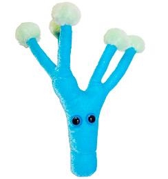 PENICILINA (PENICILLIUM CHRYSOGENUM) GIANTMICROBES ORIGINAL (PELUCHE 12-18 CMS) | Akira Comics  - libreria donde comprar comics, juegos y libros online