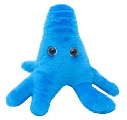 AMEBA (AMOEBA PROTEUS) GIANTMICROBES ORIGINAL (PELUCHE 12-18 CMS) | Akira Comics  - libreria donde comprar comics, juegos y libros online