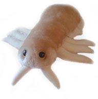 PIOJO (PEDICULUS CAPITIS) GIANTMICROBES ORIGINAL (PELUCHE 12-18 CMS) | Akira Comics  - libreria donde comprar comics, juegos y libros online