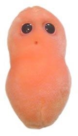 ACNE (PROPIONIBACTERIUM ACNES) GIANTMICROBES ORIGINAL (PELUCHE 12-18 CMS) | Akira Comics  - libreria donde comprar comics, juegos y libros online