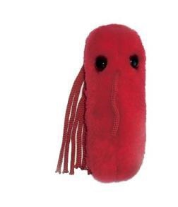 FIEBRE TIFOIDEA (SALMONELLA TYPHI) GIANTMICROBES ORIGINAL (PELUCHE 12-18 CMS) | Akira Comics  - libreria donde comprar comics, juegos y libros online