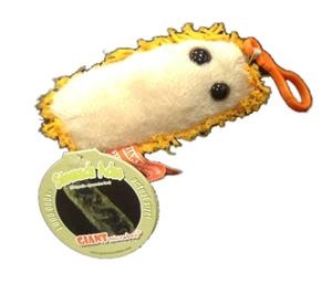 DOLOR DE ESTOMAGO (SHIGELLA DYSENTERIAE) GIANTMICROBES LLAVERO (PELUCHE 5-8 CMS) | Akira Comics  - libreria donde comprar comics, juegos y libros online