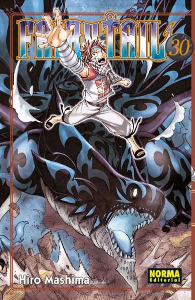 FAIRY TAIL Nº30 [RUSTICA] | MASHIMA, HIRO | Akira Comics  - libreria donde comprar comics, juegos y libros online