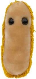 DOLOR DE ESTOMAGO (SHIGELLA) GIANTMICROBES ORIGINAL (PELUCHE 12-18 CMS) | Akira Comics  - libreria donde comprar comics, juegos y libros online