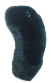 PESTE NEGRA (YERSINIA PESTIS) GIANTMICROBES ORIGINAL (PELUCHE 12-18 CMS) | Akira Comics  - libreria donde comprar comics, juegos y libros online
