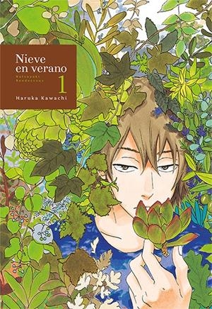 NIEVE EN VERANO Nº1 [RUSTICA] | KAWACHI, HARUKA | Akira Comics  - libreria donde comprar comics, juegos y libros online