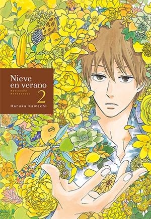 NIEVE EN VERANO Nº2 [RUSTICA] | KAWACHI, HARUKA | Akira Comics  - libreria donde comprar comics, juegos y libros online