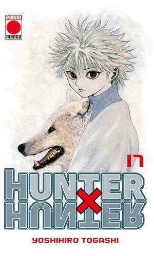 HUNTER X HUNTER Nº17 [RUSTICA] | TOGASHI, YOSHIHIRO | Akira Comics  - libreria donde comprar comics, juegos y libros online