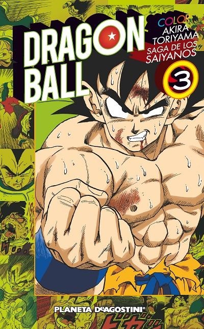 DRAGON BALL COLOR: SAGA DE LOS SAIYANOS Nº03 (3 DE 3) [RUSTICA] | TORIYAMA, AKIRA | Akira Comics  - libreria donde comprar comics, juegos y libros online