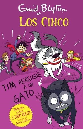 CINCO, LOS: TIM PERSIGUE A UN GATO [RUSTICA] | BLYTON, ENID | Akira Comics  - libreria donde comprar comics, juegos y libros online