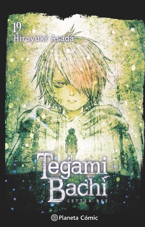 TEGAMI BACHI Nº19 [RUSTICA] | ASADA, HIROYUKI | Akira Comics  - libreria donde comprar comics, juegos y libros online