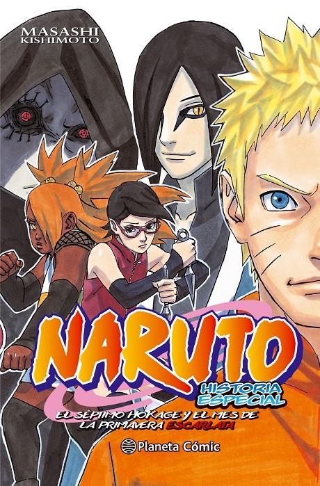 NARUTO GAIDEN [RUSTICA] | KISHIMOTO, MASASHI | Akira Comics  - libreria donde comprar comics, juegos y libros online