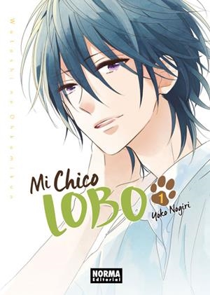 MI CHICO LOBO Nº1 [RUSTICA] | NOGIRI, YOKO | Akira Comics  - libreria donde comprar comics, juegos y libros online