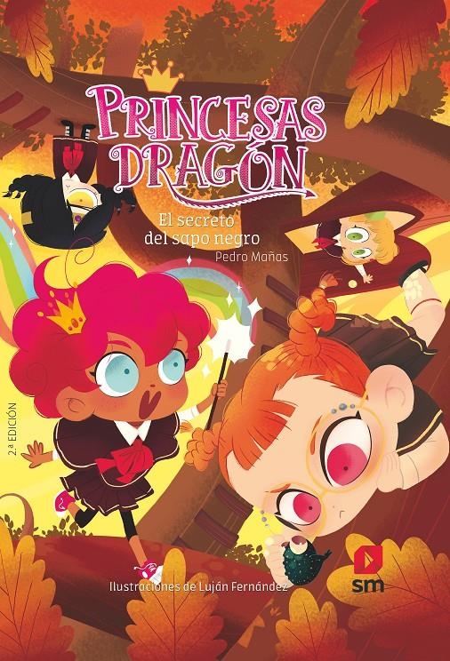 PRINCESAS DRAGON Nº07: EL SECRETO DEL SAPO NEGRO [RUSTICA] | MAÑAS, PEDRO / FERNANDEZ, LUJAN | Akira Comics  - libreria donde comprar comics, juegos y libros online