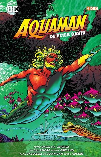 AQUAMAN DE PETER DAVID VOLUMEN 2 (2 DE 3) [CARTONE] | DAVID, PETER | Akira Comics  - libreria donde comprar comics, juegos y libros online
