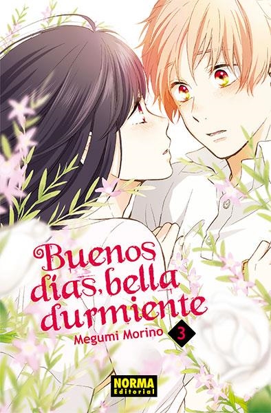 BUENOS DIAS BELLA DURMIENTE VOL.03 [RUSTICA] | MORINO, MEGUMI | Akira Comics  - libreria donde comprar comics, juegos y libros online