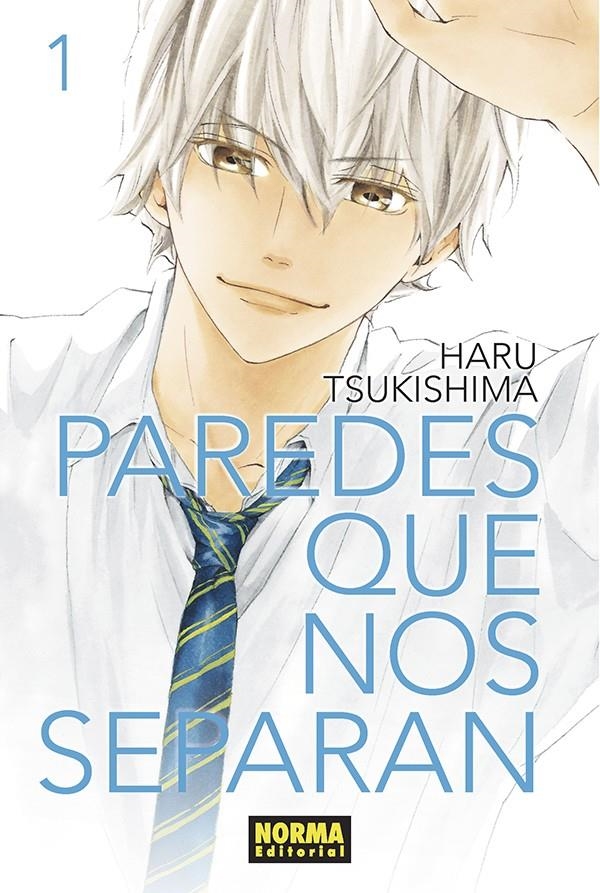 PAREDES QUE NOS SEPARAN Nº01 [RUSTICA] | TSUKISHIMA, HARU | Akira Comics  - libreria donde comprar comics, juegos y libros online