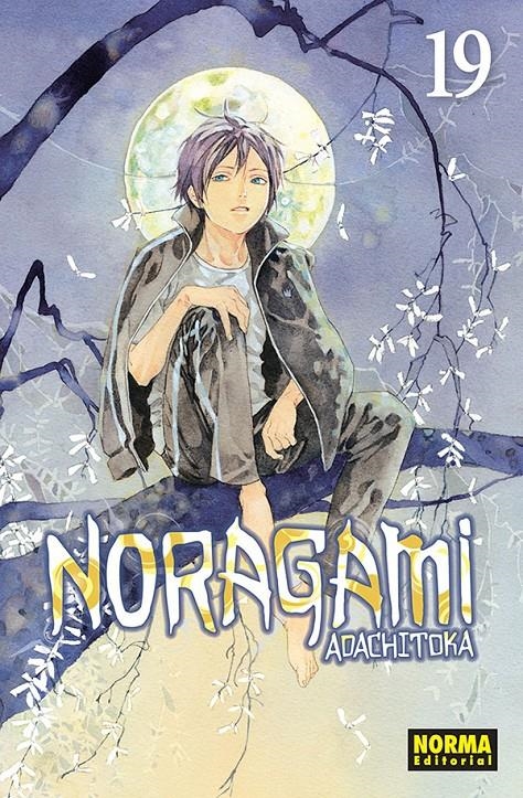 NORAGAMI Nº19 [RUSTICA] | ADACHITOKA | Akira Comics  - libreria donde comprar comics, juegos y libros online