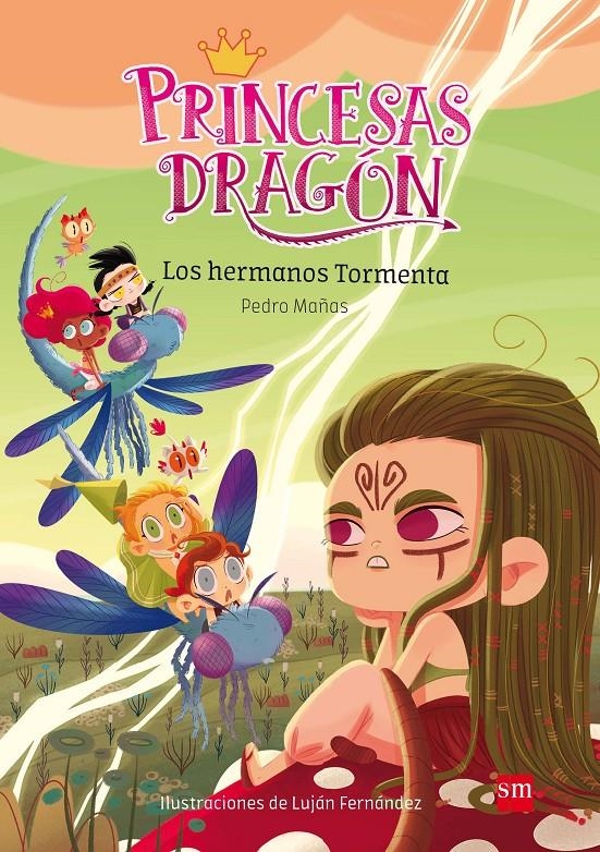 PRINCESAS DRAGON Nº05: LOS HERMANOS TORMENTA [RUSTICA] | MAÑAS, PEDRO / FERNANDEZ, LUJAN | Akira Comics  - libreria donde comprar comics, juegos y libros online