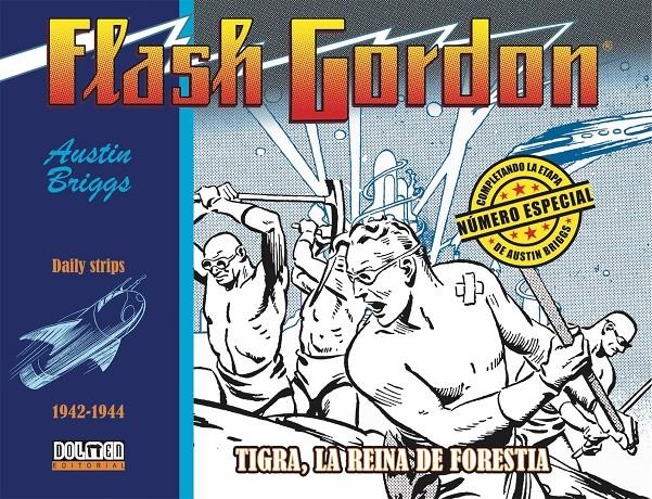 FLASH GORDON VOL.02: TIGRA LA REINA DE FORESTIA (1942-1944) [CARTONE] | BRIGGS, AUSTIN | Akira Comics  - libreria donde comprar comics, juegos y libros online