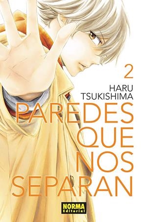 PAREDES QUE NOS SEPARAN Nº02 [RUSTICA] | TSUKISHIMA, HARU | Akira Comics  - libreria donde comprar comics, juegos y libros online