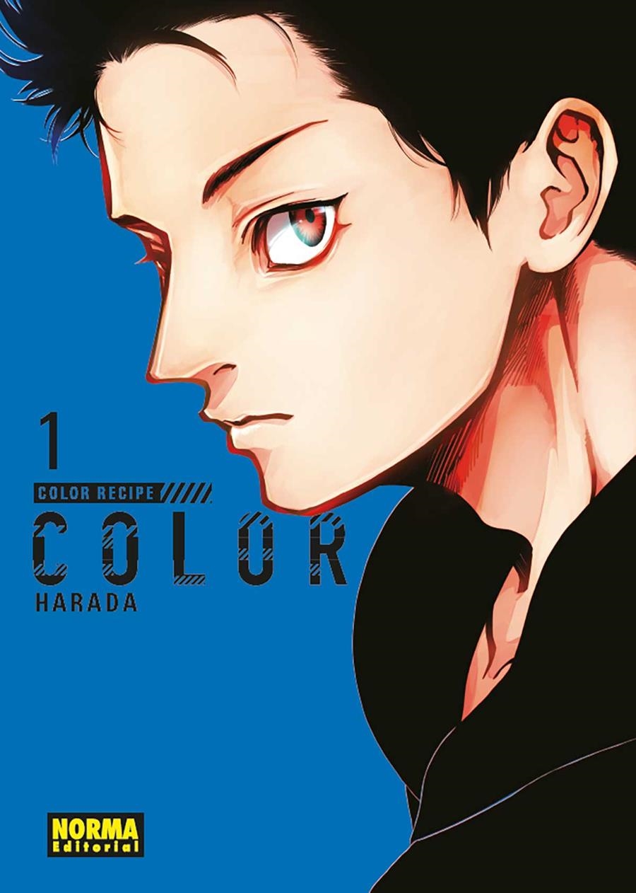 COLOR RECIPE Nº01 [RUSTICA] | HARADA | Akira Comics  - libreria donde comprar comics, juegos y libros online