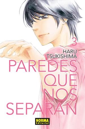 PAREDES QUE NOS SEPARAN Nº03 [RUSTICA] | TSUKISHIMA, HARU | Akira Comics  - libreria donde comprar comics, juegos y libros online