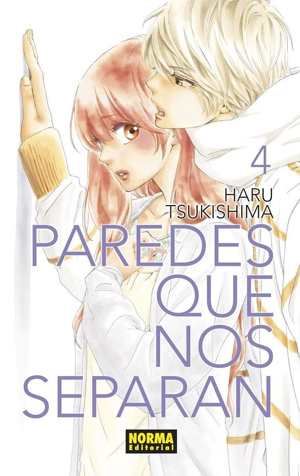 PAREDES QUE NOS SEPARAN Nº04 [RUSTICA] | TSUKISHIMA, HARU | Akira Comics  - libreria donde comprar comics, juegos y libros online