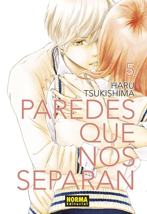 PAREDES QUE NOS SEPARAN Nº05 [RUSTICA] | TSUKISHIMA, HARU | Akira Comics  - libreria donde comprar comics, juegos y libros online